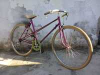 Bicicleta de Senhora Schauf