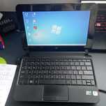 HP mini 110 10 cali