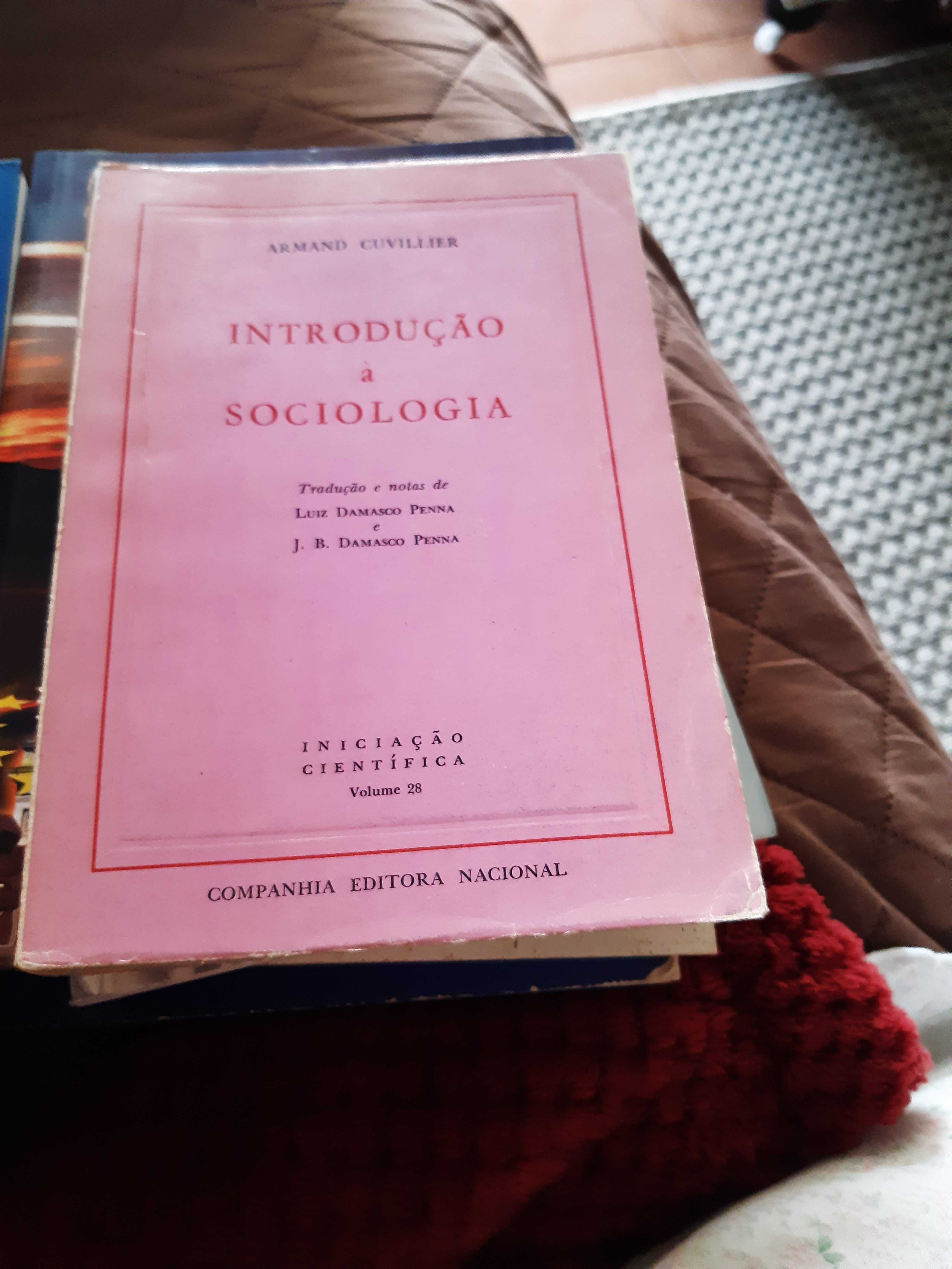 livros baratos diversos temas