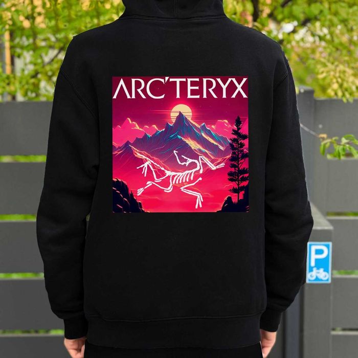 Худі ARCTERYX x PALACE Hood\ Арктерікс Пелес \ Чоловіча кофта