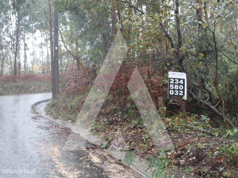 Terreno para construção de moradia em Sever do Vouga