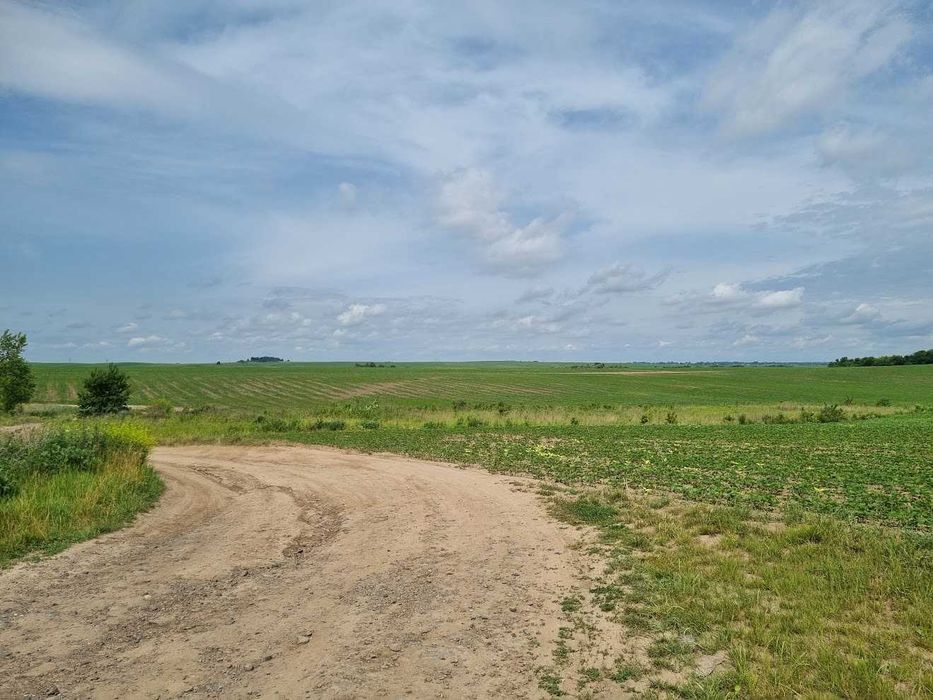 Продам фасадну ділянку 1га по трасі Київ-Чоп 60 000$