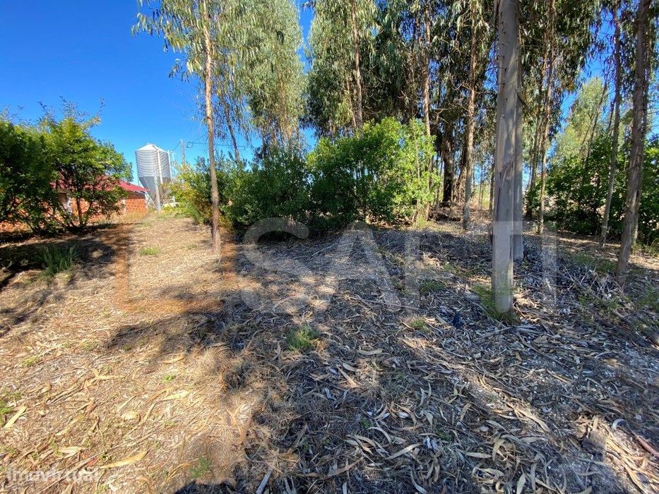 Terreno Rústico em Lajeosa do Dão Tondela Viseu Rio Dão