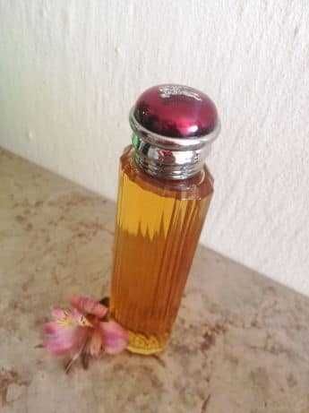 Perfume Vintage Burberrys - Society 100ml