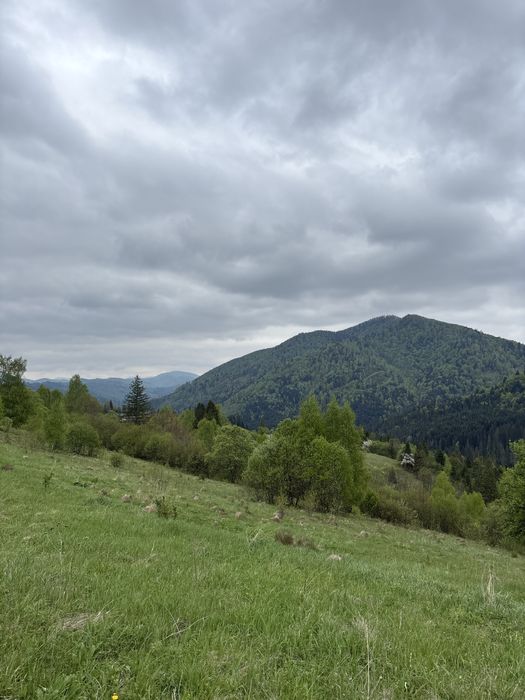 Продаж землі в карпатах