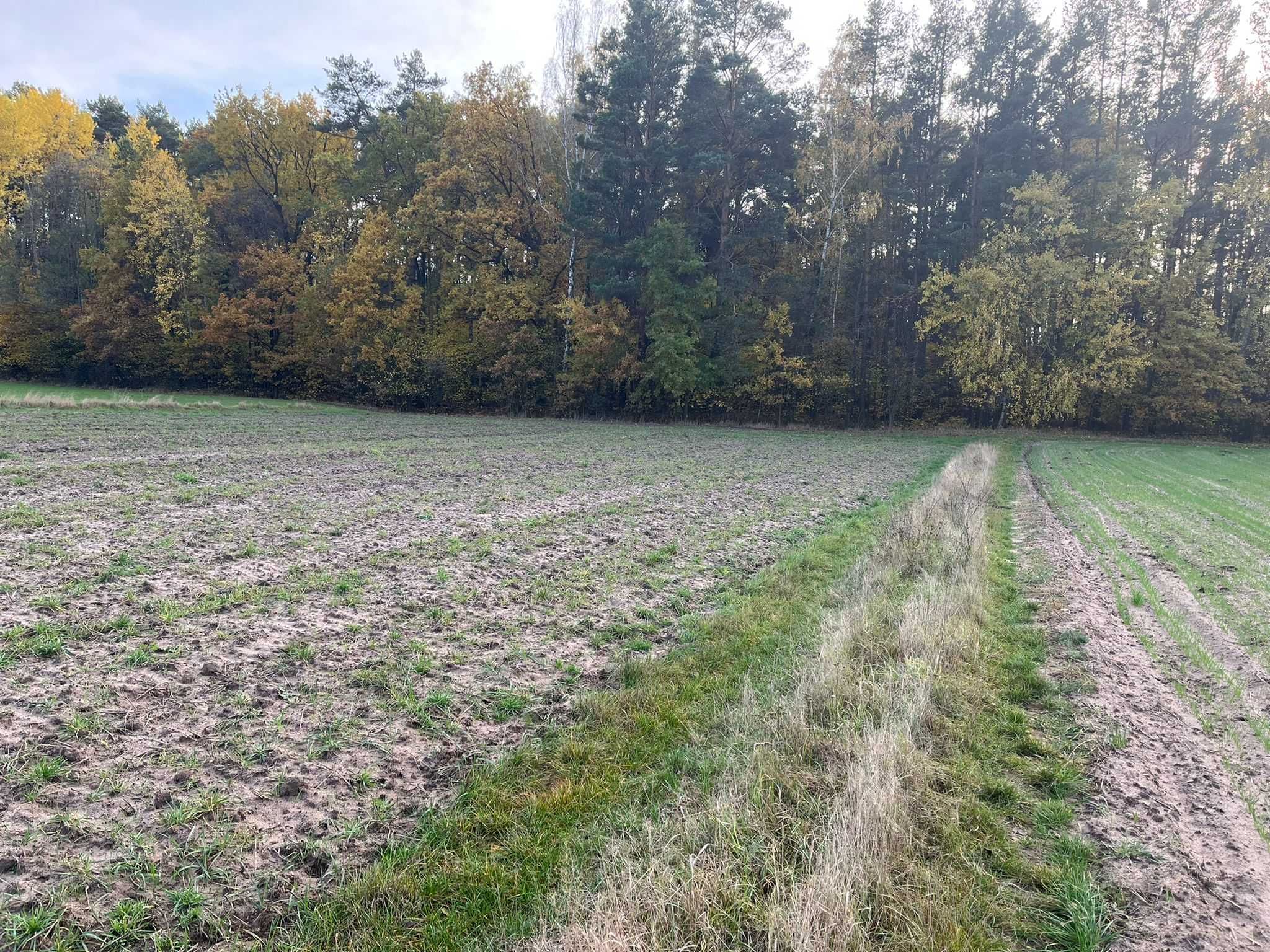 Działka pod zabudowę w miejscowości Słopsk