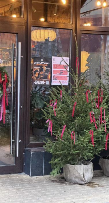 Новорічна жива ялинка Ялинка в горшику Ялина європейська