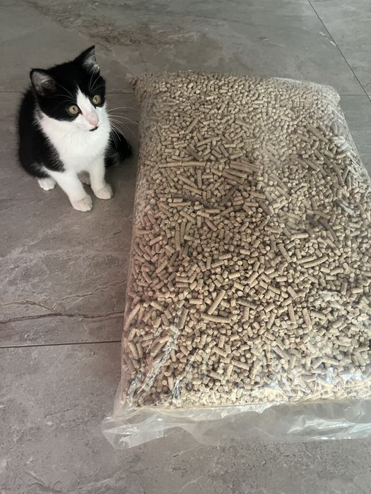 Pelet ekologiczny idealny jako zwirek do kuwet