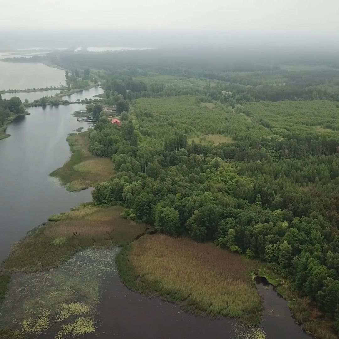 Ділянка 1.7 ГА з виходом в Київське море, Толокунь, ліс, фарватер