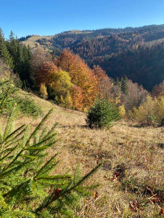 Унікальна ділянка неподалік Верховини – 5,52 га