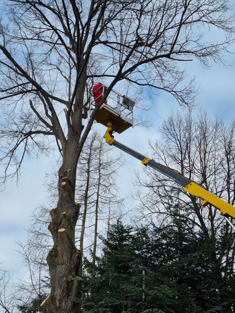 Usługi podnośnikiem koszowym 20 m , możliwość  pracy na hali