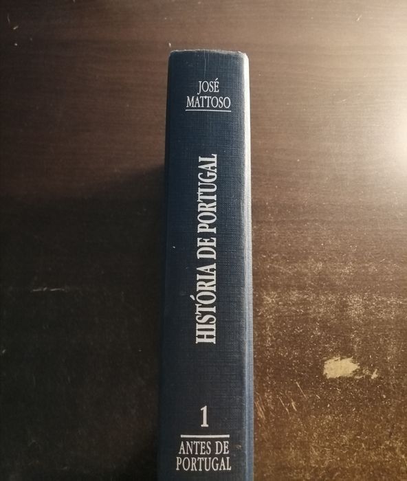 História de Portugal, José Mattoso, vol. 1