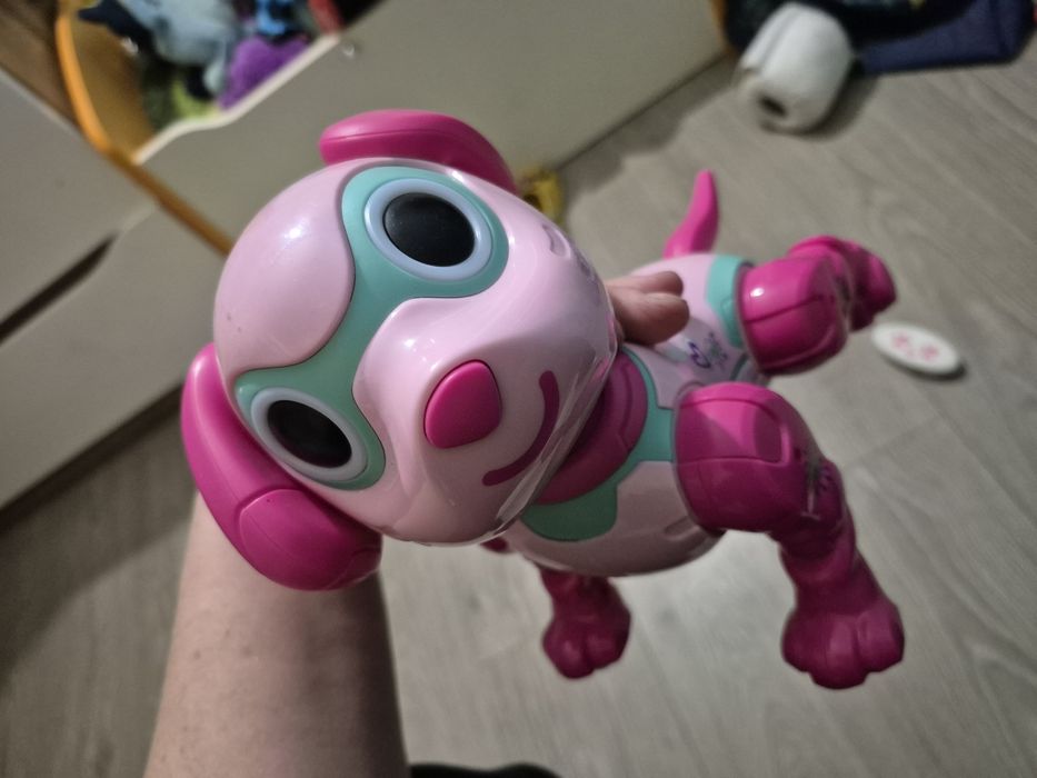 Pies Robot na pilota