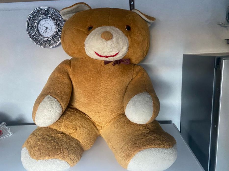 Urs completamente novo