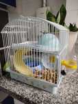 gaioLa de hamster