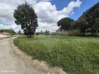 Terreno  para venda