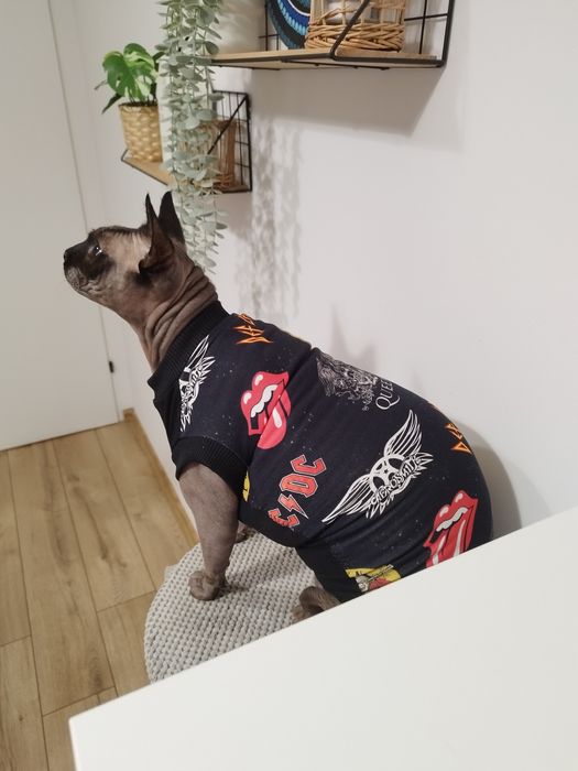 Ubranko dla Sfiksa, Sphynx, Devon rex