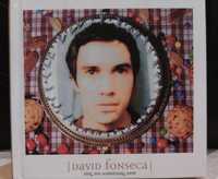 CD David Fonseca Sing me Something New