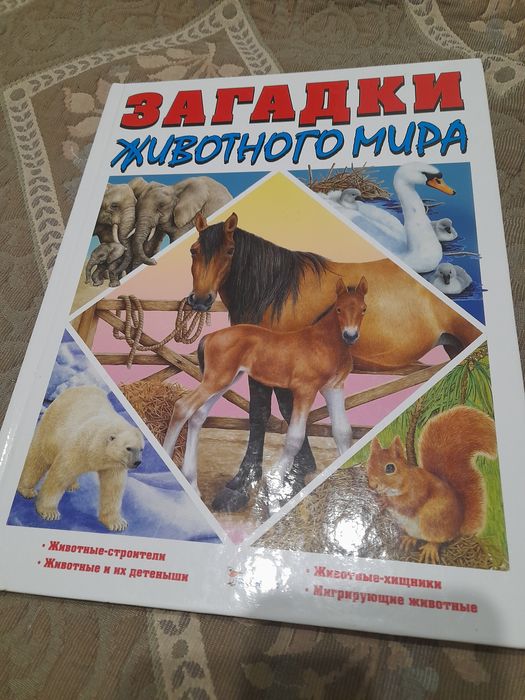 Загадки животного мира. Новая иллюстрированная книга большого формата
