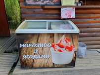 Ларь, торговый ларь, морозилка, бонета
