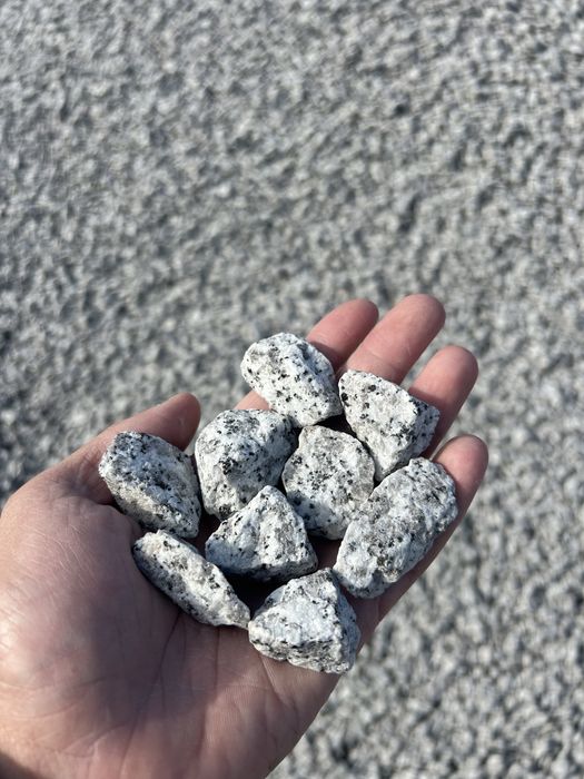 GRYS GRANITOWY BEZ PRZEBARWIEŃ Dalmatyńczyk Szary Kamień Akwarium 8-16