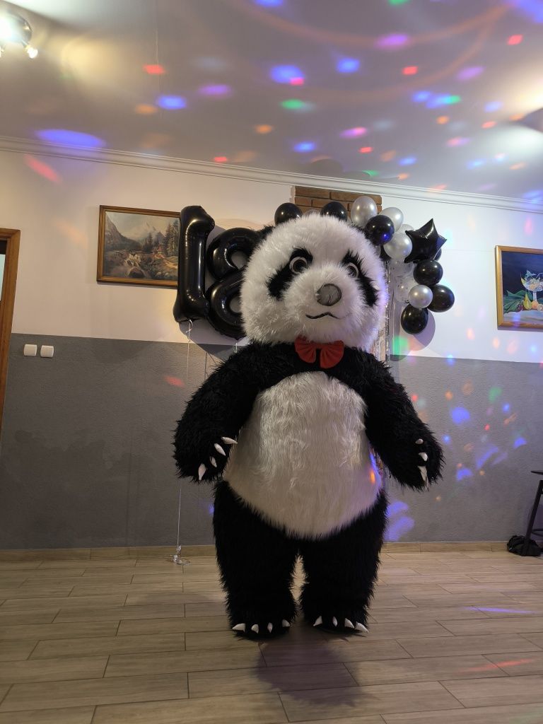 Duży biały miś i  miś panda atrakcja na twoją zabawe
