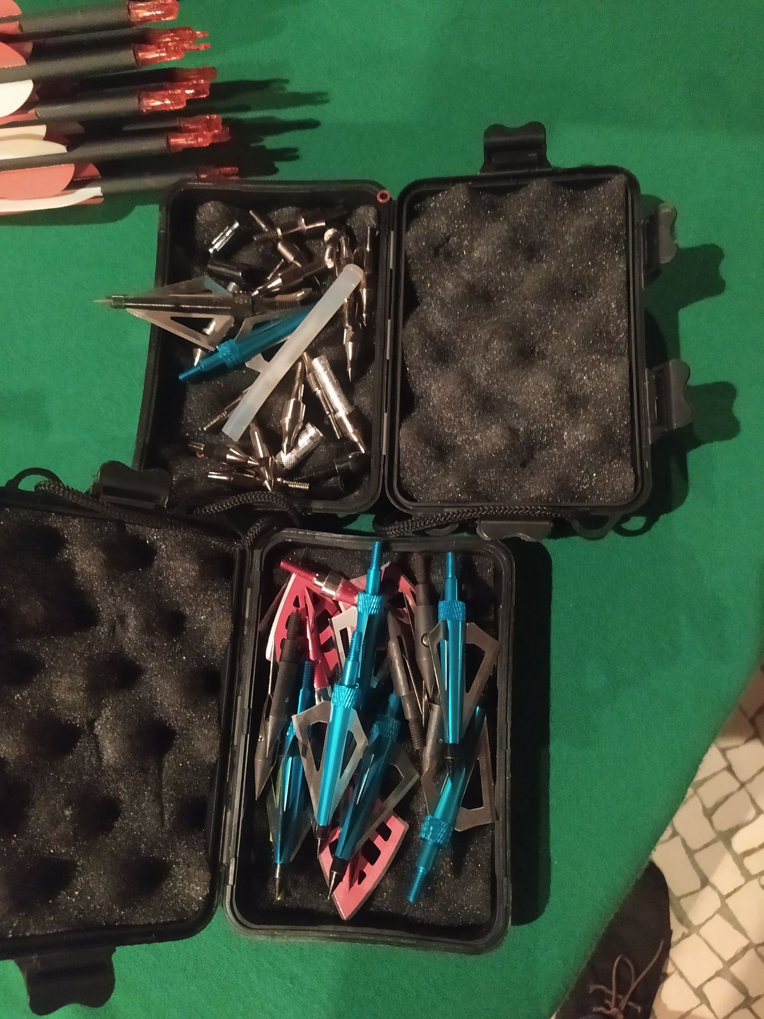 Besta para caça ou lazer