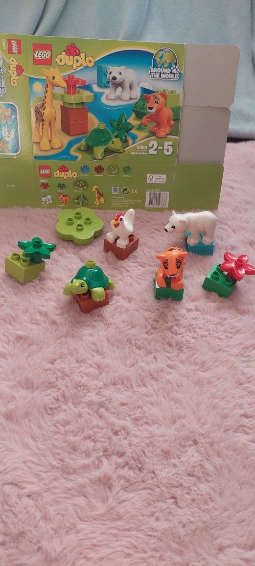 Klocki LEGO 10801 Duplo Zwierzątka tygrys żółw niedźwiedź polarny kura