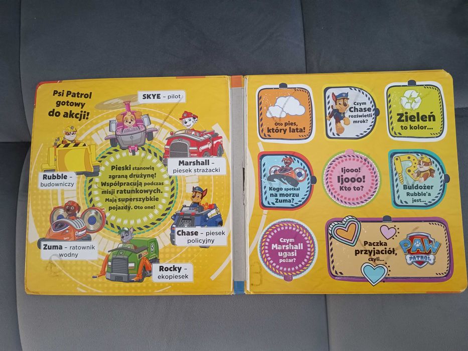 Psi Patrol. Co tam się kryje.