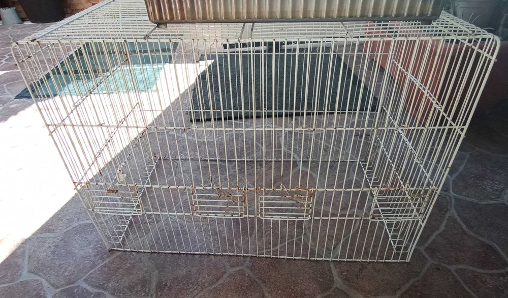 Gaiolas para Aves
