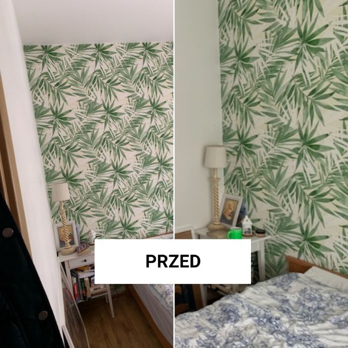 Profesjonalne usługi malarskie/malarz/malowanie/elektryka