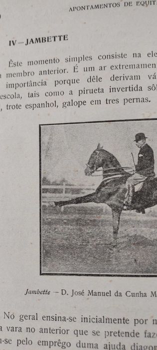 Apontamentos de equitação ed.1923