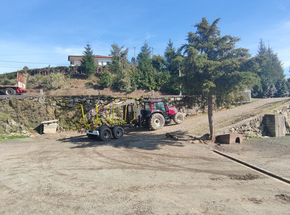 Valtra N101 c/ Reboque e Grua Costa G3000x Florestal