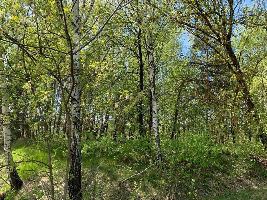 Земля під базу від починку біля озера в Лісовичах! Комунікації поруч