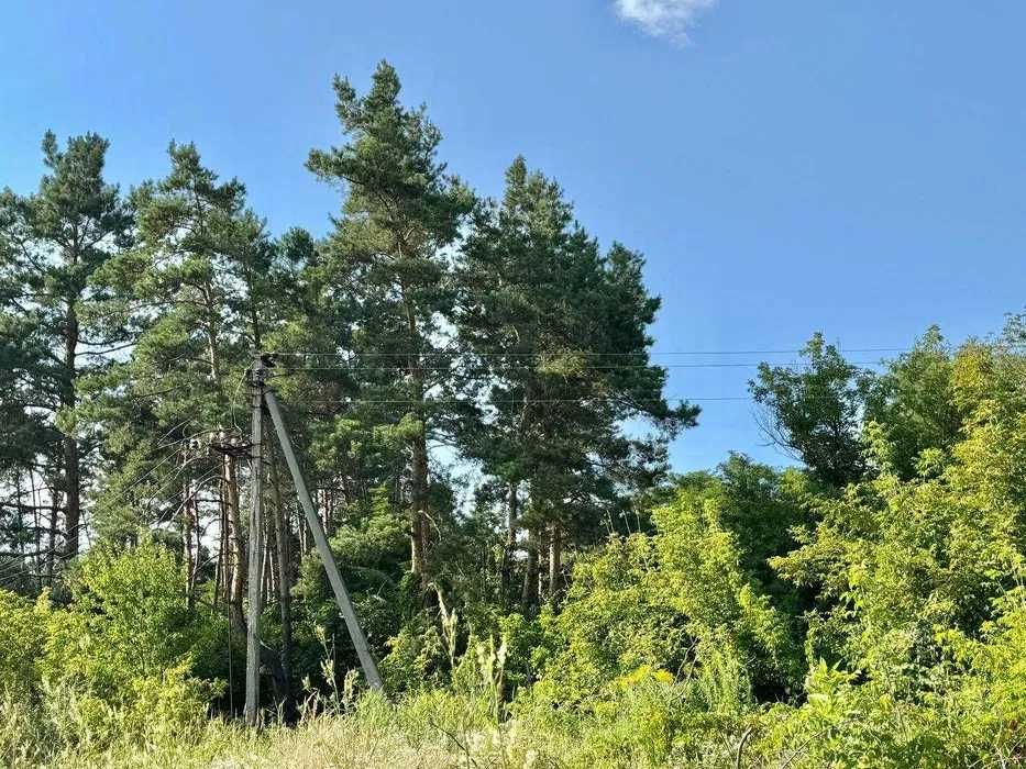 Продаж землі під забудову в Калинівці! Супер вигідно! 120$/сотка