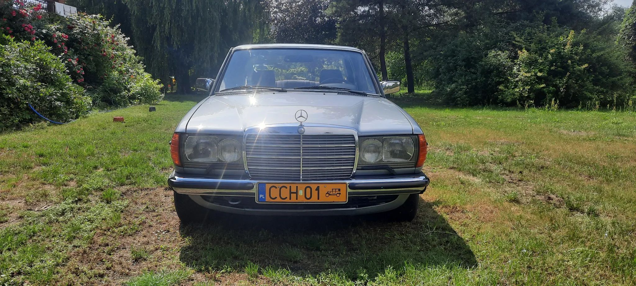 Mercedes-Benz W123 Mercedes-Benz Daimler-Benz W123 1981r oryginał 250 automat