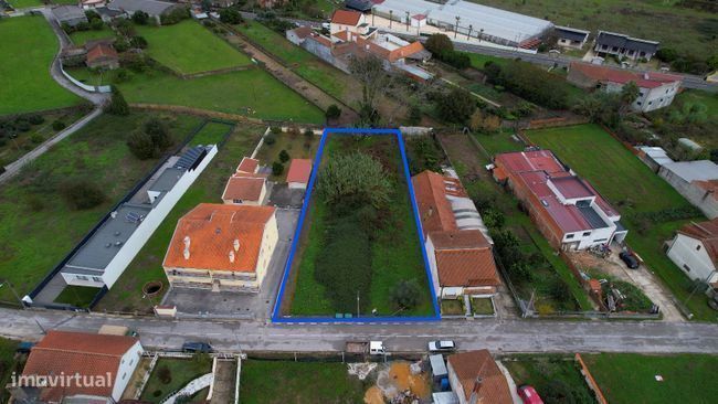 Terreno rústico, para venda, Anadia - S. Lourenço do Bairro