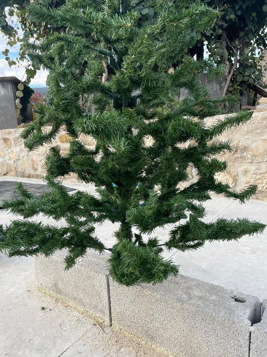 Árvore de Natal 1,70 m