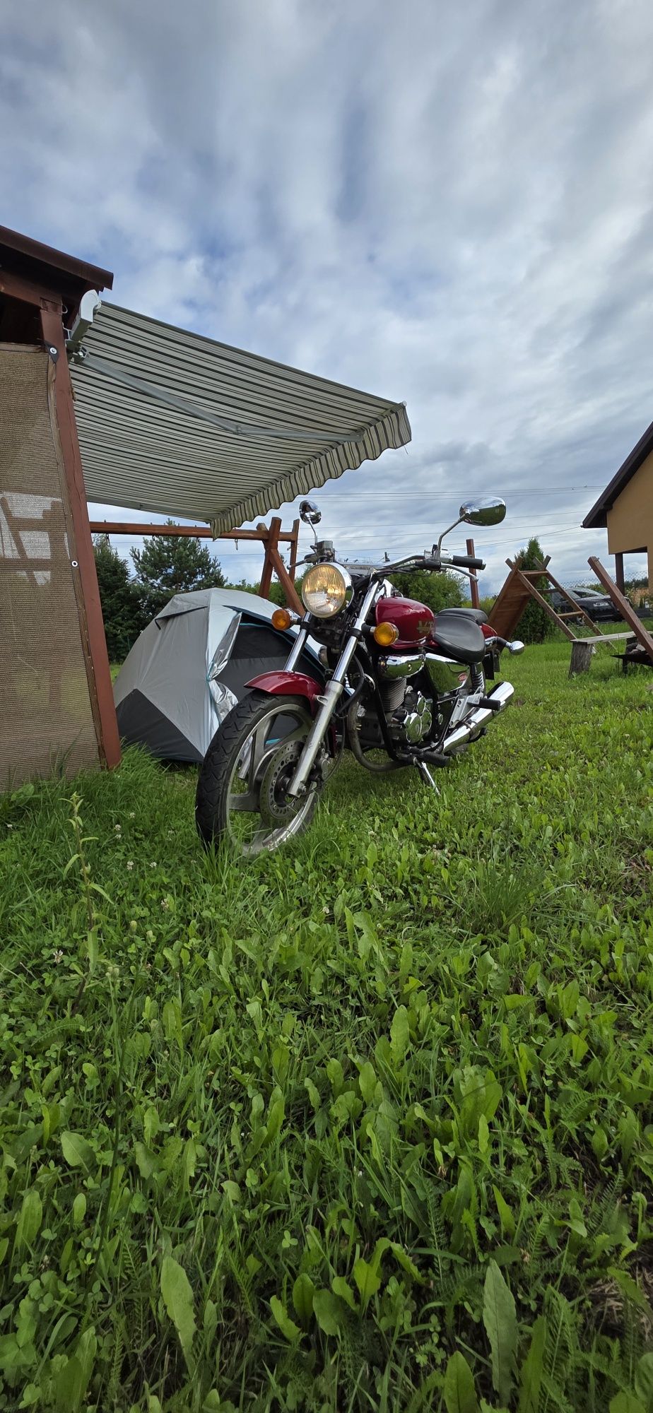 Daelim VT 125 – idealny dla początkujących
