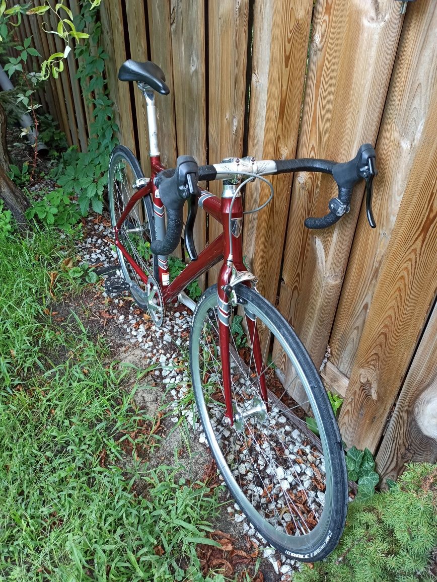 TREK District szosowy torowy single speed gates pasek