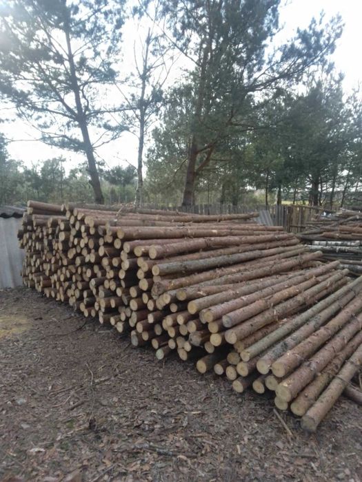 stemple budowlane 3-metrowe