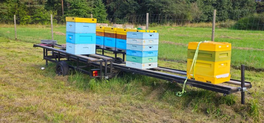 Sprzedam przyczepkę jednosiową do przewozu uli, pod ule