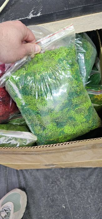 Мікс стабілізованого моху