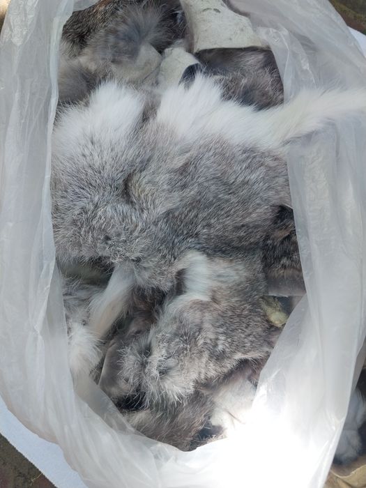 Продам  обрізки  хутра з кролика та норки.