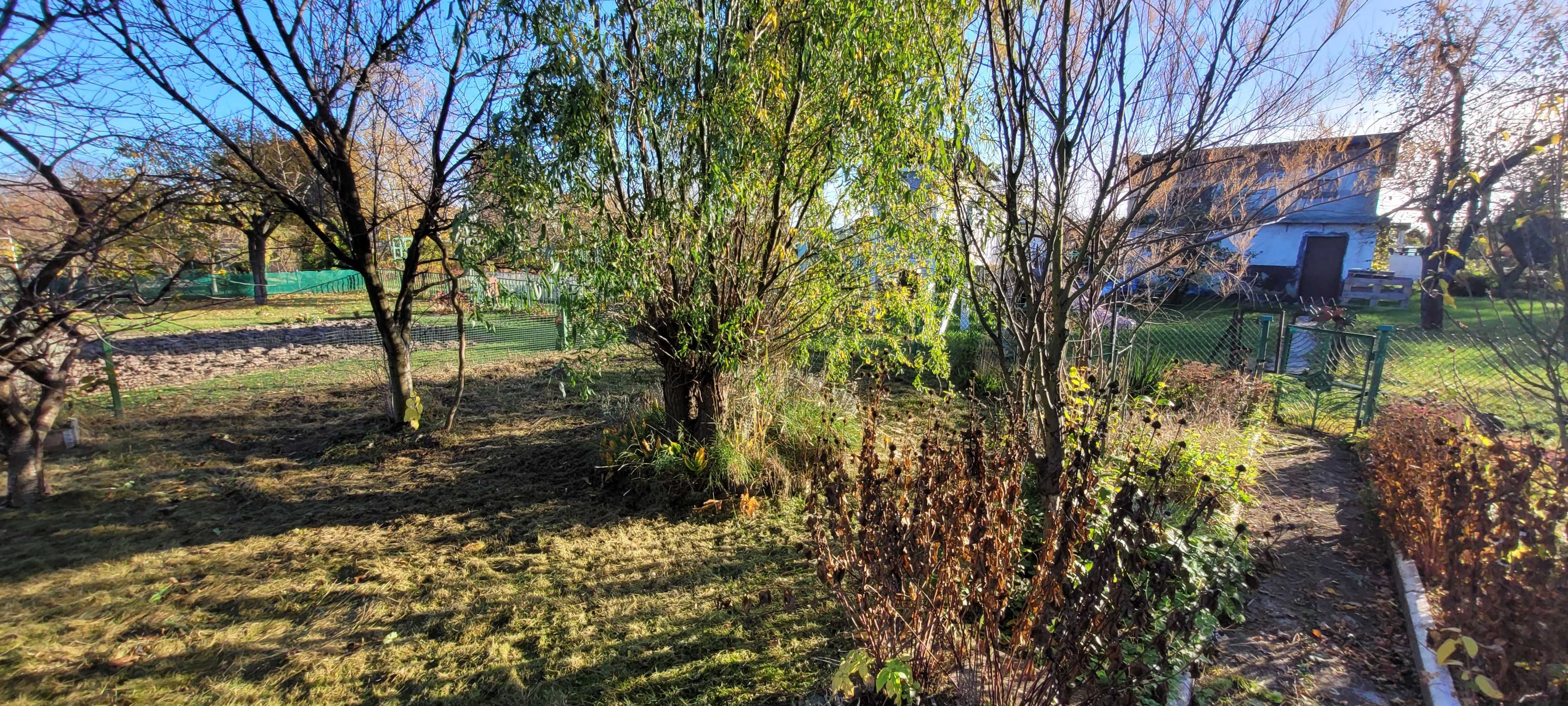 Ogródek działka ROD Aronia Wrocław