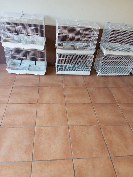 Gaiolas para pássaros