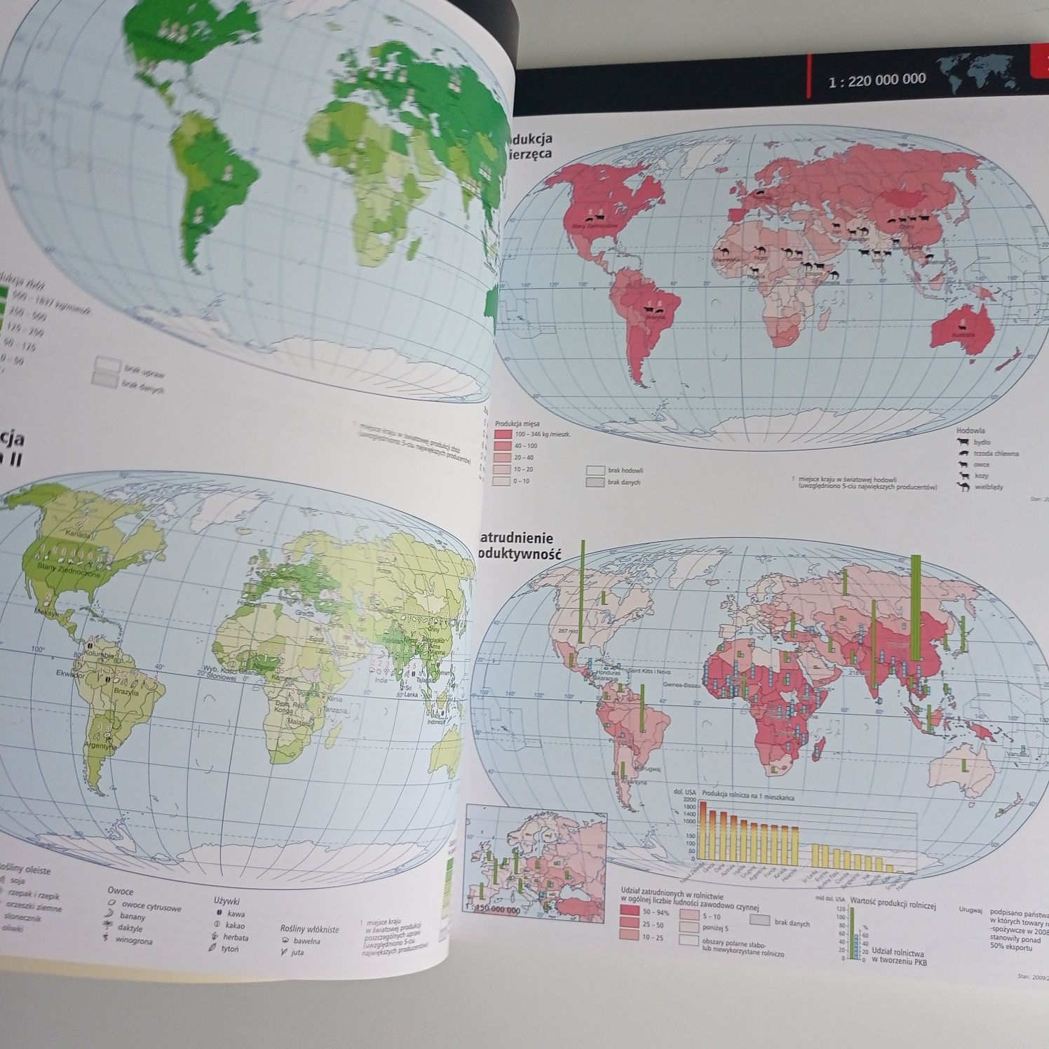 atlas geograficzny A4, Nowy, Geografia Demart