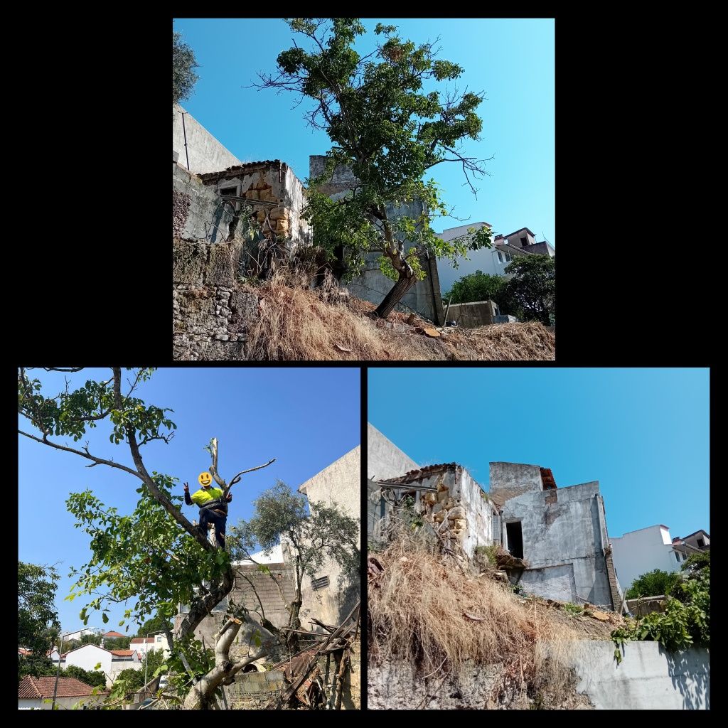 Limpeza de terrenos e quintais