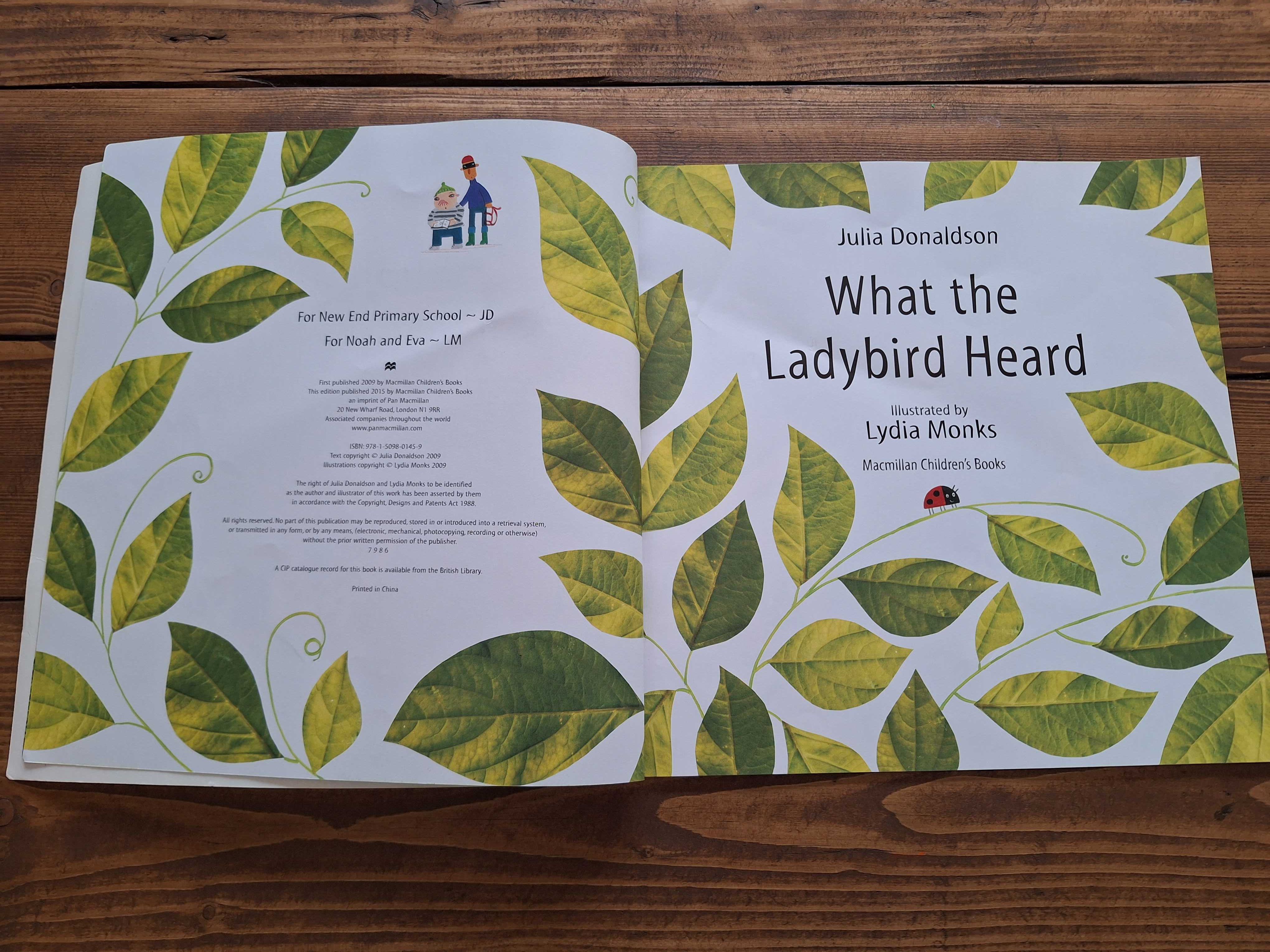 Julia Donaldson What the Ladybird hear heard wersja angielska