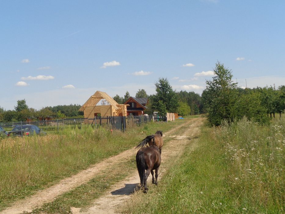 Sprzedam - działka budowlana 1144 m2 - Kępiaste, k. Serock